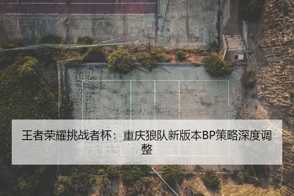 wang-zhe-rong-yao-tiao-zhan-zhe-bei-chong-qing-lang-dui-xin-ban-ben-ce-lve-shen-du-tiao-zheng-1-738.jpg